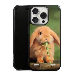 Carry Case Single Black