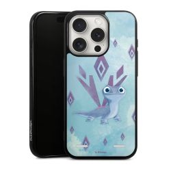 New Carry Case Hülle Schwarz