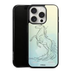 New Carry Case Hülle Schwarz