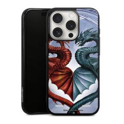 Carry Case Single Black