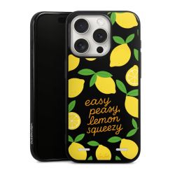 Carry Case Single Black