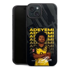 Organic Carry Case Hülle schwarz