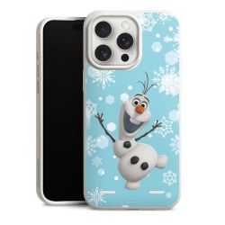 Organic Carry Case Hülle weiss