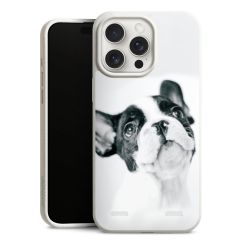 Organic Carry Case Hülle weiss