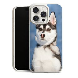 Organic Carry Case Hülle weiss