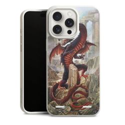 Organic Carry Case Hülle weiss