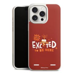 Organic Carry Case Hülle weiss