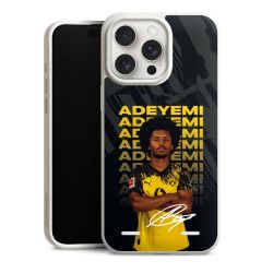 Organic Carry Case Hülle weiss