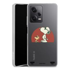 Carry Case Single Transparent