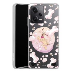 Carry Case Single Transparent