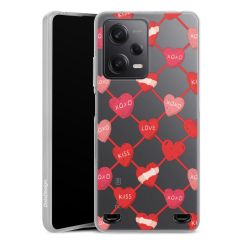 Carry Case Single Transparent