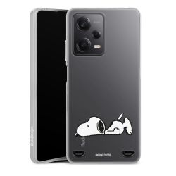 Carry Case Single Transparent