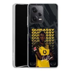 New Carry Case Hülle Transparent