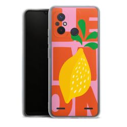 Carry Case Single Transparent