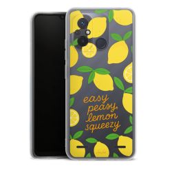 Carry Case Single Transparent