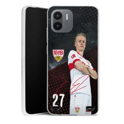 Carry Case Hülle Transparent ohne Band