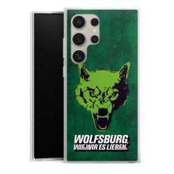 Carry Case Hülle Transparent ohne Band