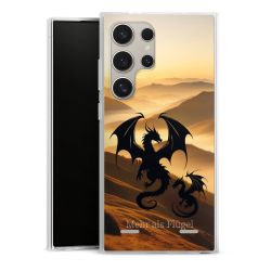 Carry Case Single Transparent