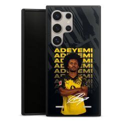 Organic Carry Case Hülle schwarz