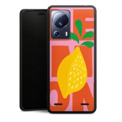 New Carry Case Hülle mattschwarz