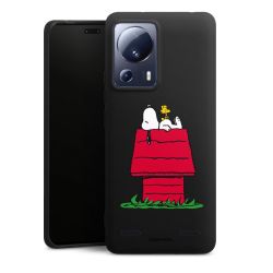 New Carry Case Hülle mattschwarz