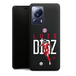 New Carry Case Hülle mattschwarz