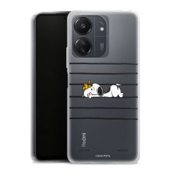 Carry Case Single Transparent