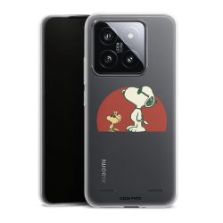 Carry Case Single Transparent