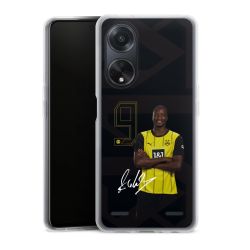 New Carry Case Hülle Transparent