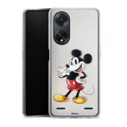 New Carry Case Hülle Transparent