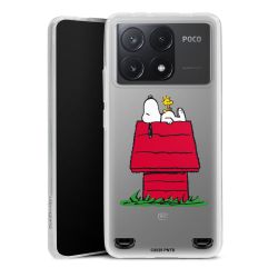 New Carry Case Hülle Transparent