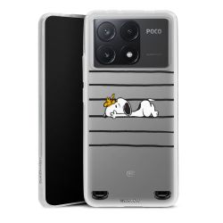 Carry Case Single Transparent