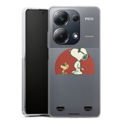 Carry Case Single Transparent