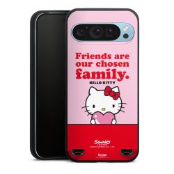 Premium Carry Case Hülle Mattschwarz ohne Band