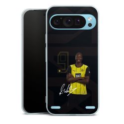 New Carry Case Hülle Transparent