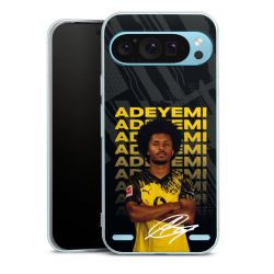 New Carry Case Hülle Transparent