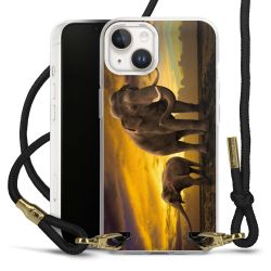 Carry Case Transparent Fabric black/gold