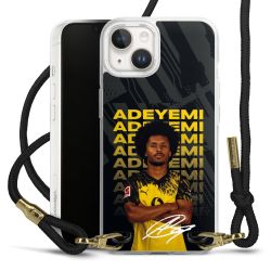 Carry Case Fabric black/gold