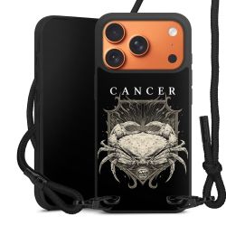 Carry Case Black Line Fabric black/matt black