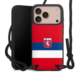 Carry Case Black Line Fabric black/matt black