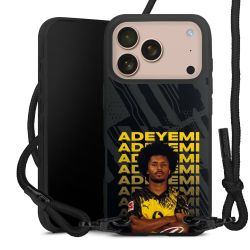 Carry Case Black Line Fabric black/matt black