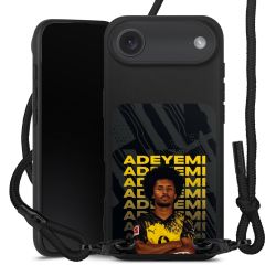 Carry Case Black Line Fabric black/matt black