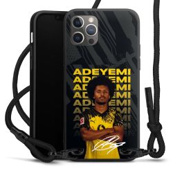 Carry Case Black Line Fabric black/matt black