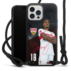 Carry Case Black Line Stoff schwarz/mattschwarz