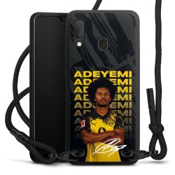 Carry Case Black Line Fabric black/matt black