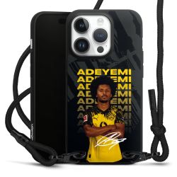 Carry Case Black Line Fabric black/matt black