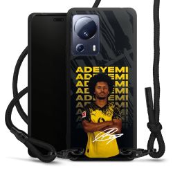 Carry Case Black Line Fabric black/matt black