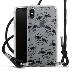 Carry Case Transparent Fabric black/silver