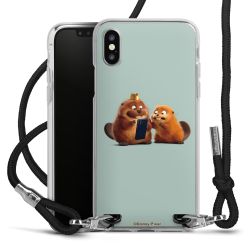 Carry Case Stoff schwarz/silber