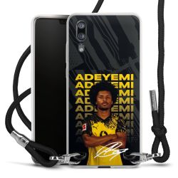 Carry Case Fabric black/silver